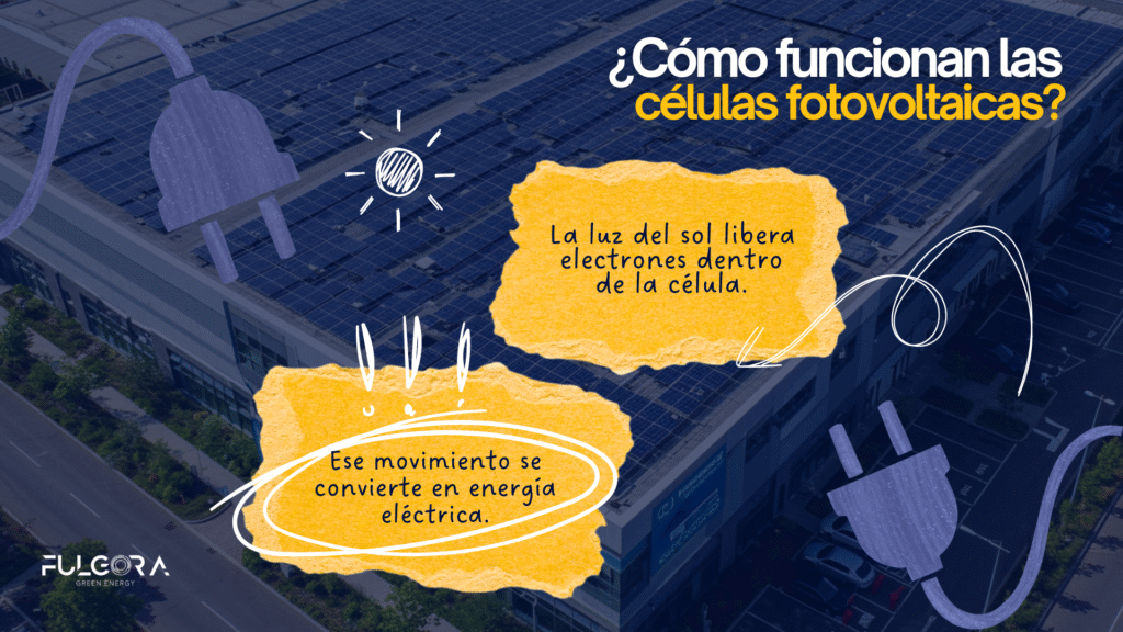 Células fotovoltaicas: Todo lo que debes saber ¡Importante!