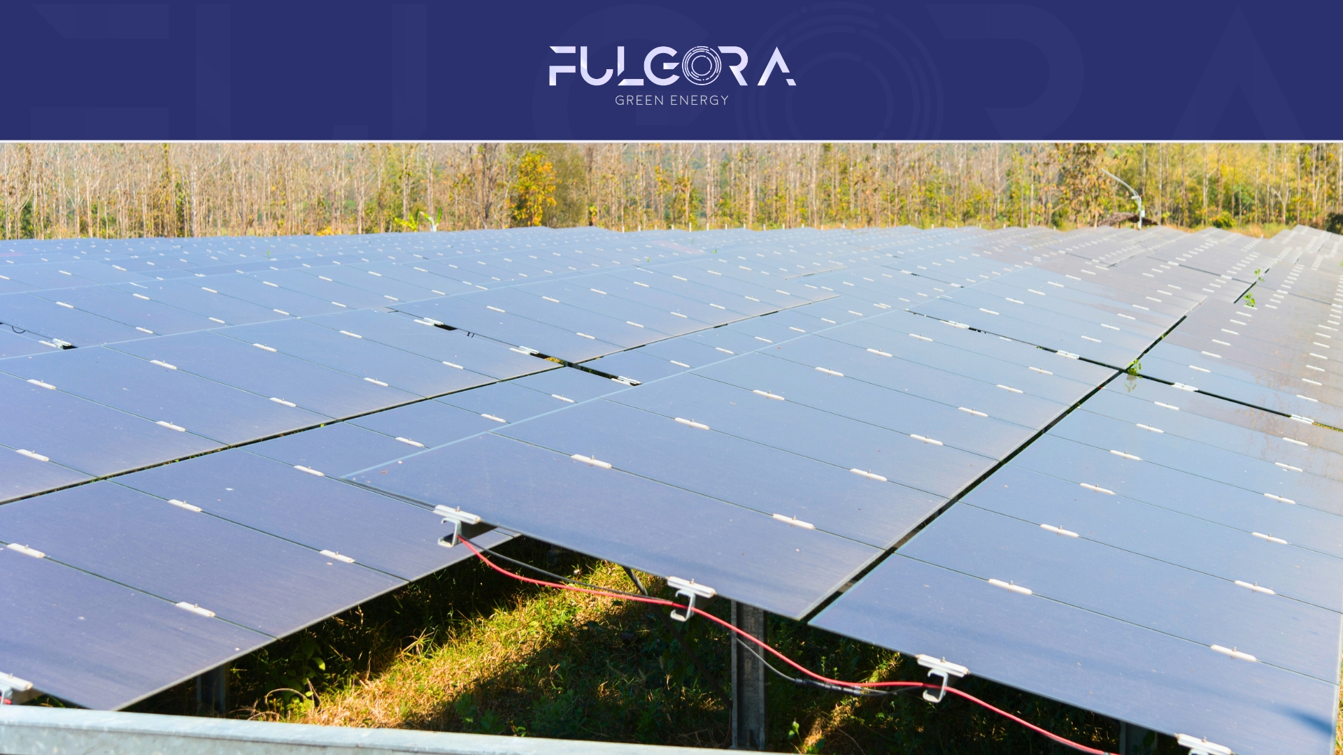 Microgrids: Qué son y por qué son clave para la energía