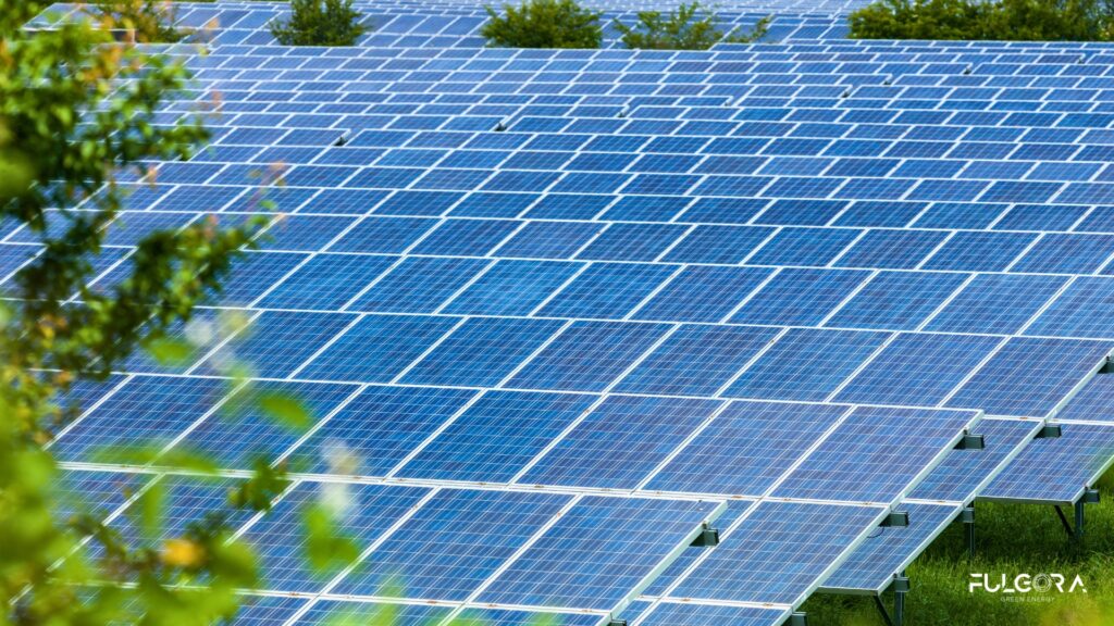 ¿Qué es un parque solar y cómo funciona?